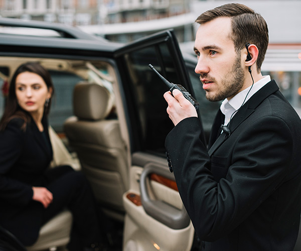 Vigilancia de seguridad